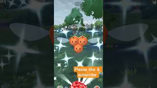 Shiny combee! #pokemongo #pokego #pogo #pokemoncommunity #gaming #pokemon #shinypokemon #pokémon
