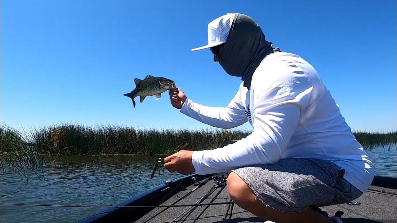 Pre-fishing the California Delta before our bass tournament B.O.O.T.Y. TRIP #13