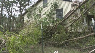 Ponchatula woman needs help after large trees fall on her home