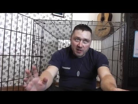 обзор клетки для собак