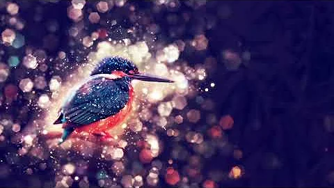 3 Hours Relaxing Music Nature Birds Singing - Sleep & Relaxation - Bird Sound Piano Music Meditation