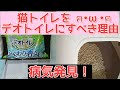 猫トイレをデオトイレに すべき理由！ これなら病気も発見！