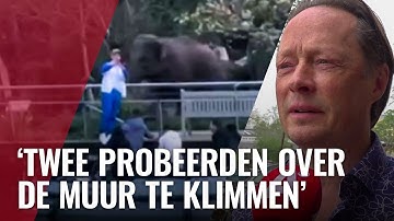 Indringers gaan illegaal Artis in voor selfie met olifant