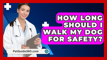 How Long Should I Walk My Dog For Safety? - PetGuide360.com