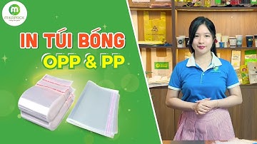 "In Túi Bóng OPP & PP – Ưu Nhược Điểm Từng Loại!"