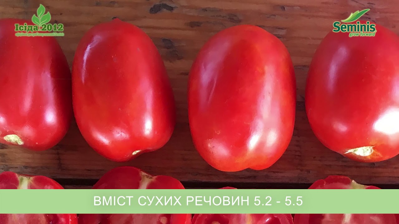 Томат ЯГ 8810 F1 (YAG 8810 F1) - від бренду Seminis