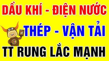 F186 - CHỨNG KHOÁN HÔM NAY | Cổ phiếu HPG - HSG - NKG - PVD - PVS | Nhận định thị trường Chứng Khoán