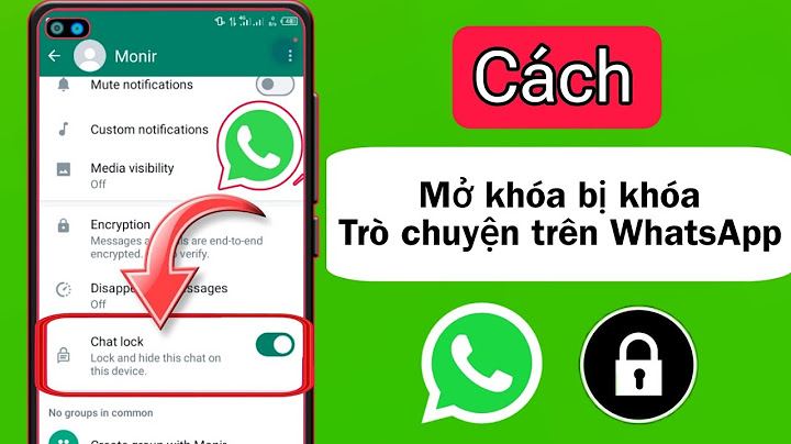 Hướng dẫn sử dụng whatsapp trên điện thoại năm 2024