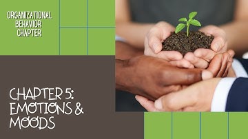 Emotions and Mood (Organizational Behavior)