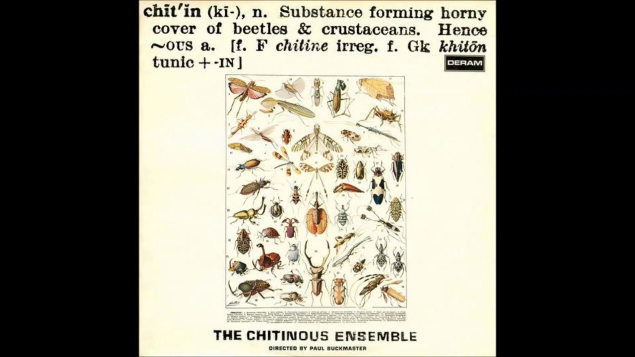 芽瑠璃堂 ＞ CHITINOUS ENSEMBLE、1971年ブリティッシュ・ジャズ