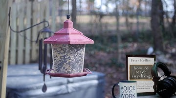 How To Teach Anything by Peter Hollins