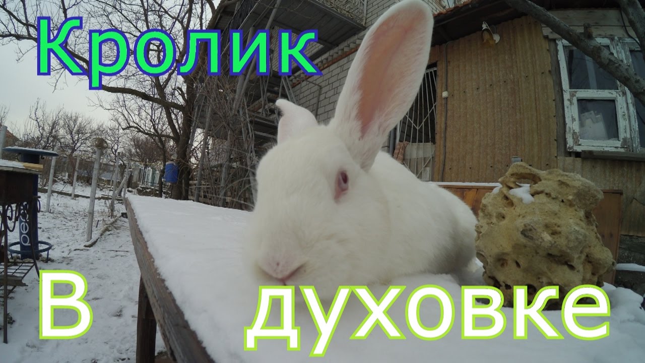 Кролик в печке