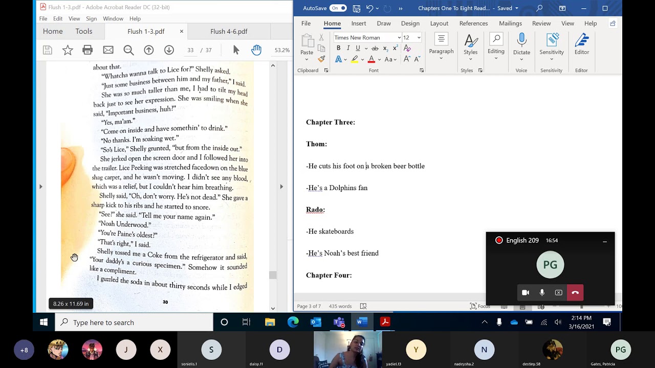 Flush Chapter Three and Questions YouTube