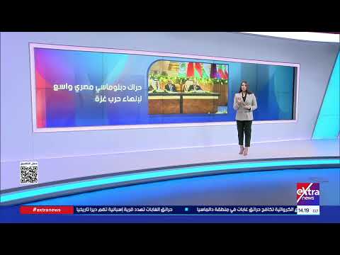 Egypt's Efforts to Support Palestine