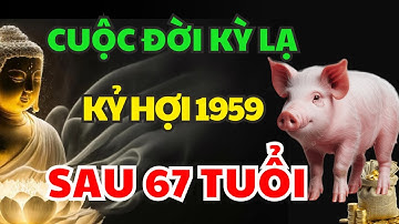 Vén Màn Vận Mệnh Kỷ Hợi 1959 Sau 67 Tuổi Tránh 3 Điều Đại Kỵ Ắt Được Trời Độ, Phúc Lộc Đầy Nhà