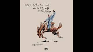 Bad Bunny Ft. Feid - Perro Negro (Audio Oficial)