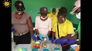 Module 7- Home Gardening & Biopesticide Use