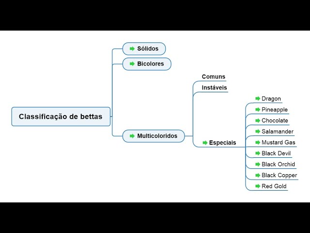 Linhagens de bettas: classificação e detalhes técnicos