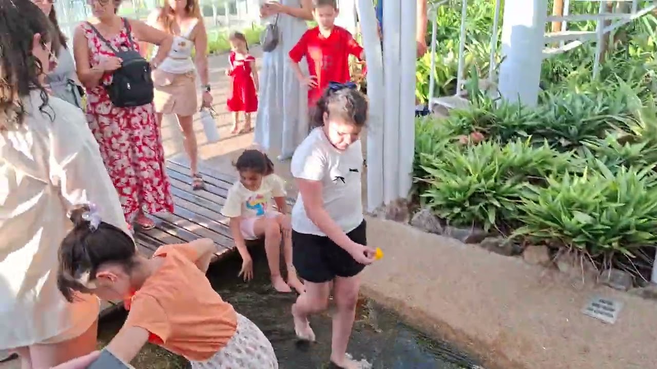 Jardim Botanico Curitiba PR 