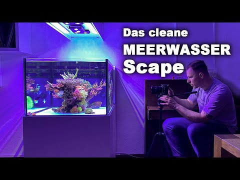 Besonderes AQUASCAPE (400 Liter Meerwasser) + Nachhaltigkeit!!