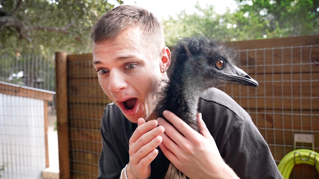 Jynxzi Conquers His Fear of Animals