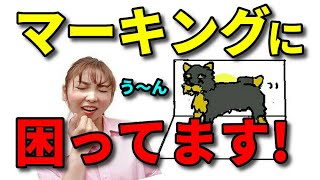 【犬 トイレトレーニング】マーキングのしつけ足をあげない方法 新遠藤エマチャンネル【犬のしつけ＠横浜】