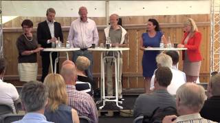 Sparbankerna i Almedalen 2015