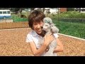 Chef and Francis Play at the Dog Park | Cooking with Dog