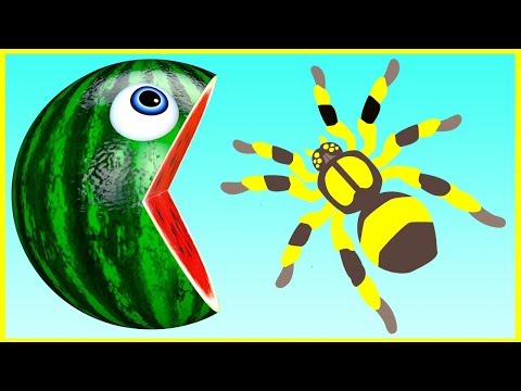 MELANCIA PACMAN ENCONTRA UM AMIGO INTERESSANTE E DEPOIS SE TRANSFORMA EM UMA ARANHA.