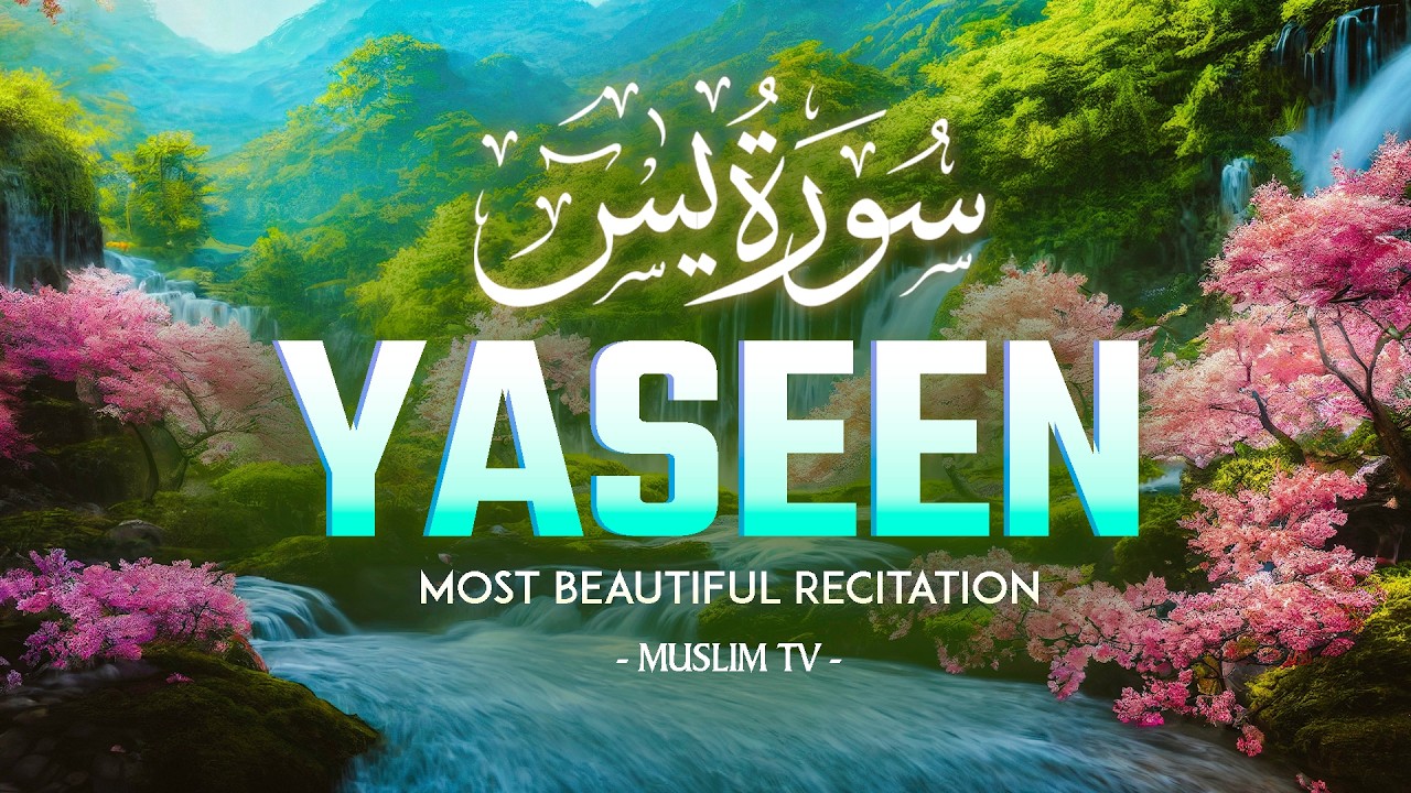 Surah Yaseen سورة يس | Soothing Recitation for Protection, Guidance & Restful Sleep #yasin