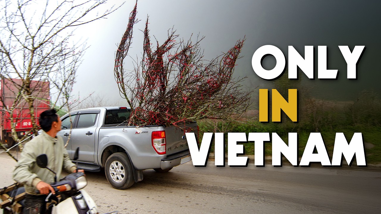 The 11 Most Popular (& Weirdest) Traditions of Vietnamese Tet | Exotic Voyages