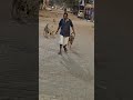 faithfull dog