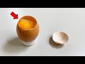 あなたが知らない卵の話【鶏卵の解剖】