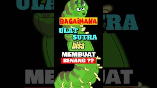 BAGAIMANA BISA ULAT SUTRA MEMBUAT BENANG ??