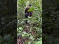 Alfred Andapanga bush tracking #fyppppp #news #viralvideo