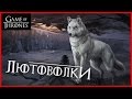 Всё о ЛЮТОВОЛКАХ [Игра престолов]