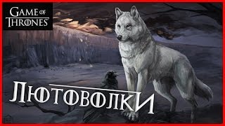 Всё о ЛЮТОВОЛКАХ [Игра престолов]