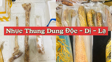 Nhục Thung Dung Sa Mạc | Những Củ Nhục Thung Dung Vip