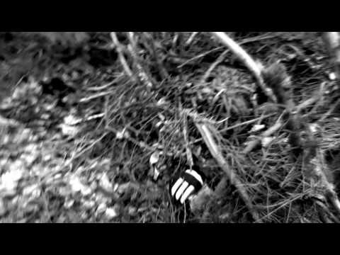 Big Zis — Big Zis: «Suure Raege» (Video 9/13)