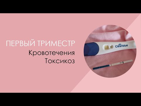 Первый триместр второй беременности. Кровотечения. Токсикоз.