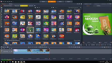 Pinnacle Studio Latest Download | Audio Dubbing | Video Mixing | Cinematic Editing | Indian Wedding