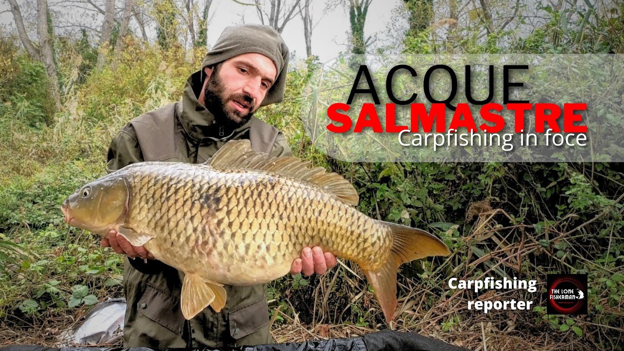 Acque salmastre - Carpfishing in foce