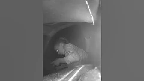 Car Thief Caught Red Handed