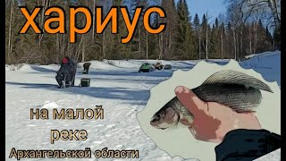 видео: Ловим ХАРИУСА в таежной реке! 200 км на снегоходах по тайге! Супер изба! Весна 23г. Russian grayling картинка: Ловим ХАРИУСА в таежной реке! 200 км на снегоходах по тайге! Супер изба! Весна 23г. Russian grayling