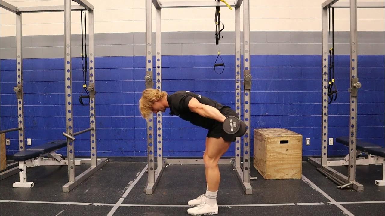 Db Tricep Kickbacks YouTube