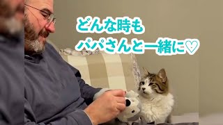パパさんが大好きな猫さん♡ 色んな場所へ一緒にお出かけすると、ある変化が起こりました…