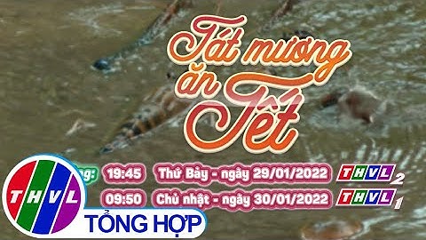 Nhịp sống đồng bằng: Tát mương ăn Tết | Trailer
