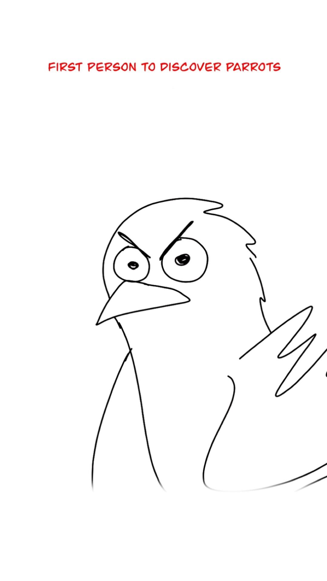 Discovering A Parrot ? (Animation Meme) Orig: @scottnolasco #shorts