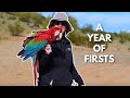 A Year of FIRSTS! | Meet Jewels the Macaw!