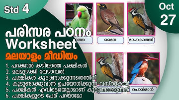 Class 4 EVS Worksheet Malayalam Medium October 27 itsvicters